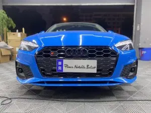 RS5 Front Bumper Grille For Audi A5 S5 B9PA Hood Front Bumper Grill