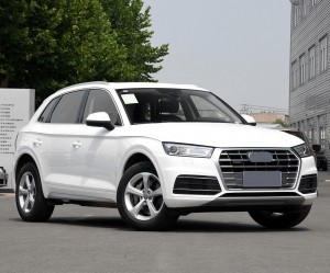 2019-2021 Audi Q5 SQ5 B9 RSQ5 Fog Light Grille