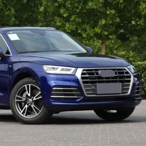 2019-2021 Audi Q5 SQ5 B9 RSQ5 Fog Light Grille