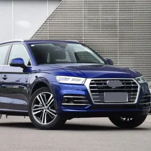 2019-2021 Audi Q5 SQ5 B9 RSQ5 Fog Light Grille